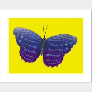 butterfly Posters and Art